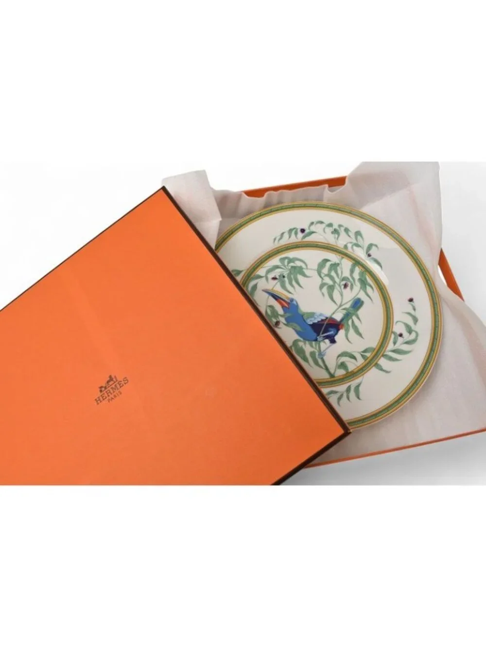 Hermes Toucan Plate Toucans 25 South American Bird